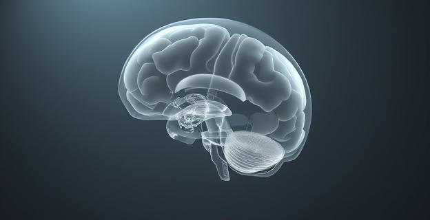 Imagen de un cráneo humano parcialmente transparente mostrando líquido cefalorraquídeo en lugar de hemisferios cerebrales, con iluminación suave que resalta la ausencia de estructuras cerebrales